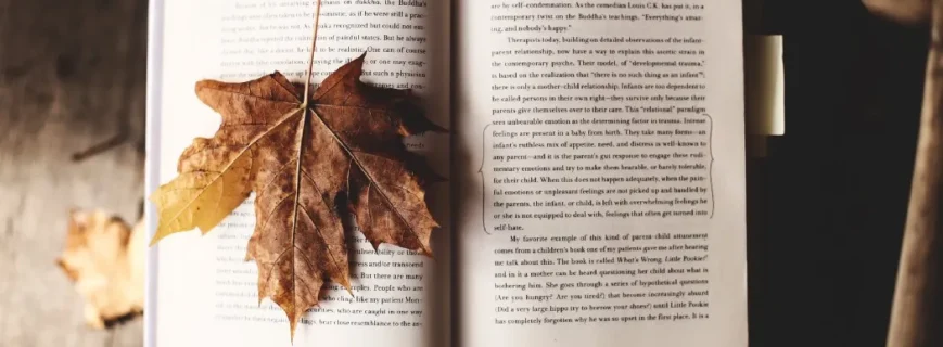 Best free book formatting software