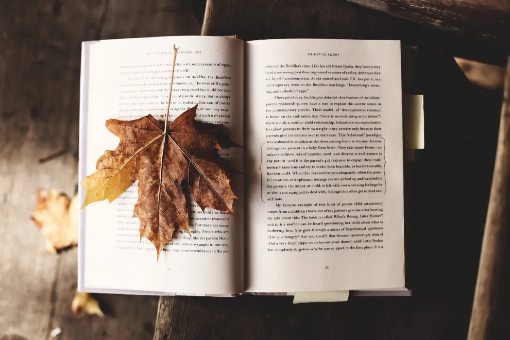 Best free book formatting software